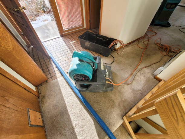 Best Mold removal after water damage  in North Highlands, CA