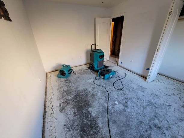 Best Flood damage cleanup  in North Highlands, CA
