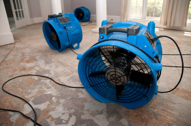 Best Water damage restoration mold remediation  in North Highlands, CA