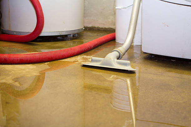 Best Professional water damage repair  in North Highlands, CA