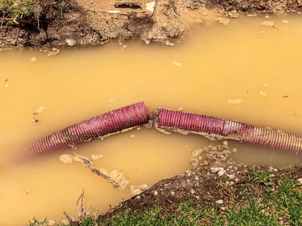 Best Flood damage cleanup  in North Highlands, CA