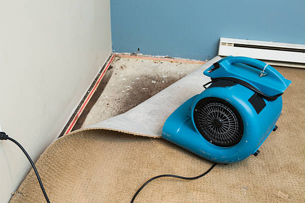 Best Water damage restoration near me  in North Highlands, CA